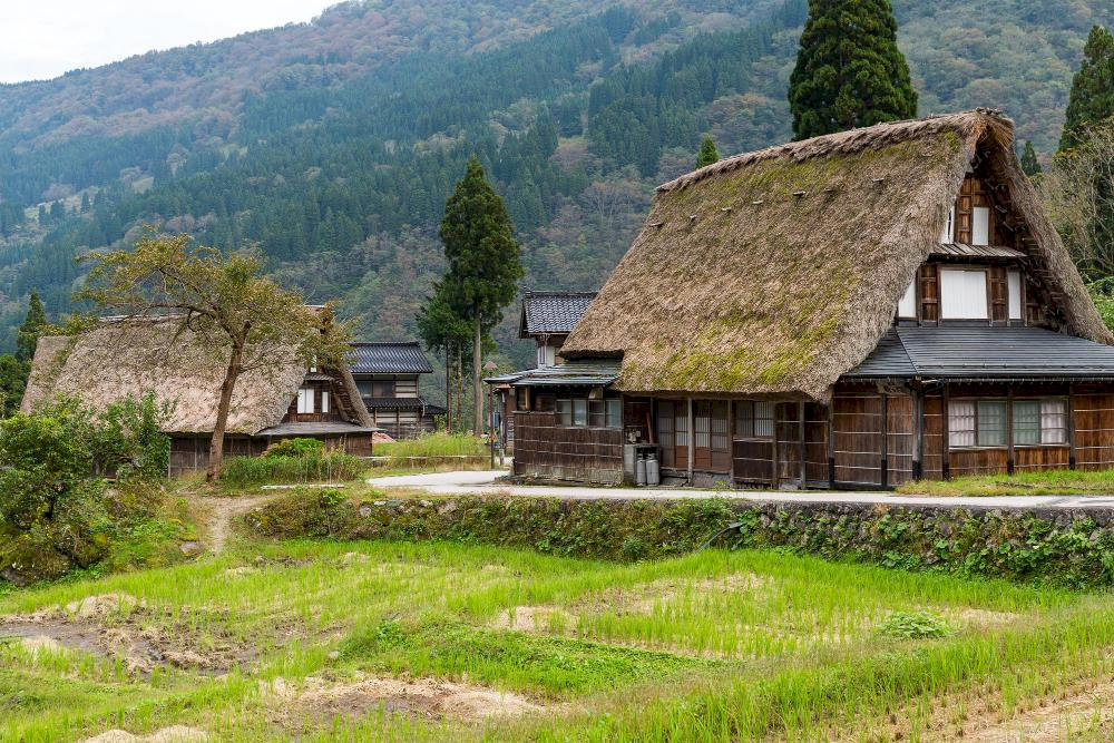This experience offers peaceful, culturally immersive, and authentically traditional Japanese countryside feelings.